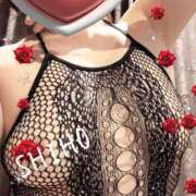 ヒメ日記 2025/06/27 09:42 投稿 しほ ファーストレディ(博多)