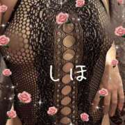 ヒメ日記 2025/07/06 14:55 投稿 しほ ファーストレディ(博多)