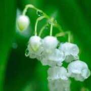 ヒメ日記 2025/05/02 11:00 投稿 ゆな 佐久上田人妻隊