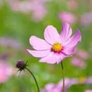 ヒメ日記 2025/09/28 11:43 投稿 ゆな 佐久上田人妻隊