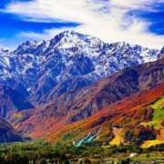 ヒメ日記 2025/11/25 11:00 投稿 ゆな 佐久上田人妻隊