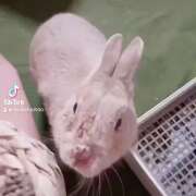 ヒメ日記 2025/04/15 16:08 投稿 てん 小岩人妻花壇