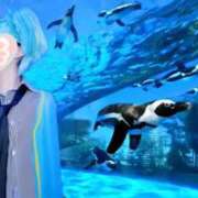 ヒメ日記 2025/04/25 15:48 投稿 てん 小岩人妻花壇