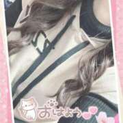 ヒメ日記 2025/05/06 09:42 投稿 えな ファーストレディ(博多)