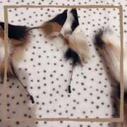 ヒメ日記 2025/10/21 10:35 投稿 かんな 大宮ウィング