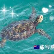 ヒメ日記 2025/11/01 17:45 投稿 みのり 大宮ウィング