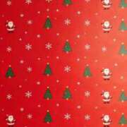 ヒメ日記 2025/12/24 20:25 投稿 みのり 大宮ウィング