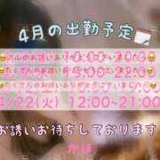 ヒメ日記 2025/04/13 17:47 投稿 かほ 横浜人妻花壇本店