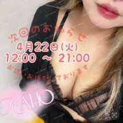 ヒメ日記 2025/04/20 12:04 投稿 かほ 横浜人妻花壇本店