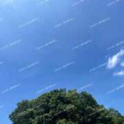 ヒメ日記 2025/07/04 09:02 投稿 かほ 横浜人妻花壇本店