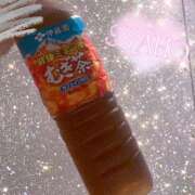 ヒメ日記 2025/08/03 09:51 投稿 かほ 横浜人妻花壇本店