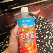 ヒメ日記 2025/08/06 15:37 投稿 かほ 横浜人妻花壇本店