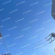 ヒメ日記 2025/09/06 08:32 投稿 かほ 横浜人妻花壇本店