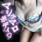 ヒメ日記 2025/03/19 16:06 投稿 こはく NEW GENERATION