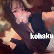 ヒメ日記 2025/11/16 02:06 投稿 こはく NEW GENERATION