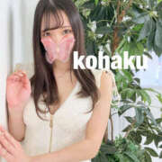 ヒメ日記 2025/12/19 11:57 投稿 こはく NEW GENERATION