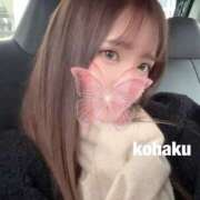 ヒメ日記 2026/01/20 14:42 投稿 こはく NEW GENERATION