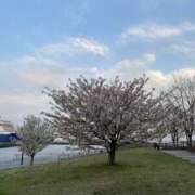 ヒメ日記 2025/04/08 18:46 投稿 みなみ ときめき女学院