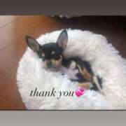 ヒメ日記 2025/03/15 00:18 投稿 のあ タレント倶楽部