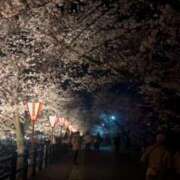 ヒメ日記 2025/04/06 15:12 投稿 のあ タレント倶楽部