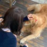 ヒメ日記 2025/04/30 08:19 投稿 花園みなみ お姉さんCLUB