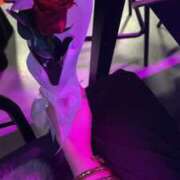 ヒメ日記 2025/06/30 16:48 投稿 花園みなみ お姉さんCLUB