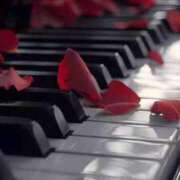 ヒメ日記 2025/07/04 17:48 投稿 花園みなみ お姉さんCLUB