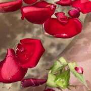 ヒメ日記 2025/07/11 23:33 投稿 花園みなみ お姉さんCLUB