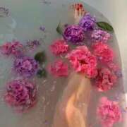 ヒメ日記 2025/07/14 00:30 投稿 花園みなみ お姉さんCLUB