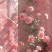 ヒメ日記 2025/07/14 19:09 投稿 花園みなみ お姉さんCLUB