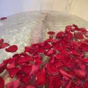 ヒメ日記 2025/07/23 21:42 投稿 花園みなみ お姉さんCLUB