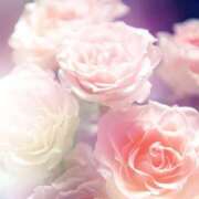 ヒメ日記 2025/08/11 17:57 投稿 花園みなみ お姉さんCLUB