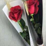 ヒメ日記 2025/09/10 01:54 投稿 花園みなみ お姉さんCLUB