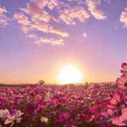 ヒメ日記 2025/09/15 11:39 投稿 花園みなみ お姉さんCLUB