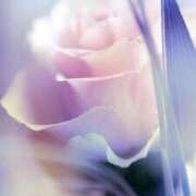 ヒメ日記 2025/09/18 00:54 投稿 花園みなみ お姉さんCLUB