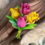 ヒメ日記 2025/09/23 16:09 投稿 花園みなみ お姉さんCLUB