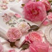 ヒメ日記 2025/09/26 07:51 投稿 花園みなみ お姉さんCLUB