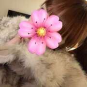 ヒメ日記 2025/10/02 19:42 投稿 花園みなみ お姉さんCLUB