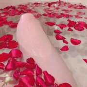 ヒメ日記 2025/10/28 23:49 投稿 花園みなみ お姉さんCLUB