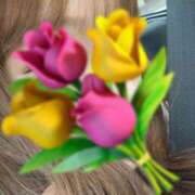 ヒメ日記 2025/11/11 13:03 投稿 花園みなみ お姉さんCLUB