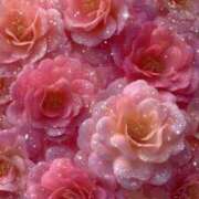 花園みなみ 🌹December19th お姉さんCLUB