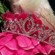 ヒメ日記 2026/01/14 20:49 投稿 花園みなみ お姉さんCLUB