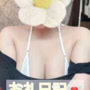 ヒメ日記 2025/05/11 19:31 投稿 ゆり【「S」ディプロマ保持者】 天空のマット