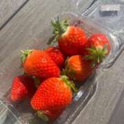 ヒメ日記 2025/03/10 22:12 投稿 もも 君とふわふわプリンセスin立川