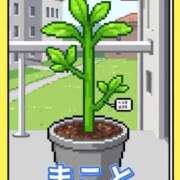 ヒメ日記 2025/06/11 20:10 投稿 まこと 即トク奥さん