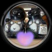 まこと まこと 即トク奥さん