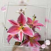 ヒメ日記 2026/02/01 19:20 投稿 まこと 即トク奥さん