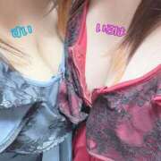 ヒメ日記 2025/04/06 00:21 投稿 すい X-PARTY