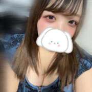 ヒメ日記 2025/04/07 00:21 投稿 すい X-PARTY