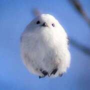 ヒメ日記 2025/07/31 17:05 投稿 カスミ コンプレックス(京都)